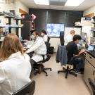 Five researchers sit in a lab working on computers and collaborating. 